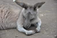 SydFeb201221.jpg (152kb)