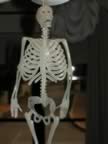 HalloweenKL200800.jpg (57kb)