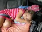 PipNick0931.jpg (103kb)
