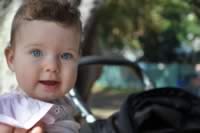 SydMar201211.jpg (70kb)